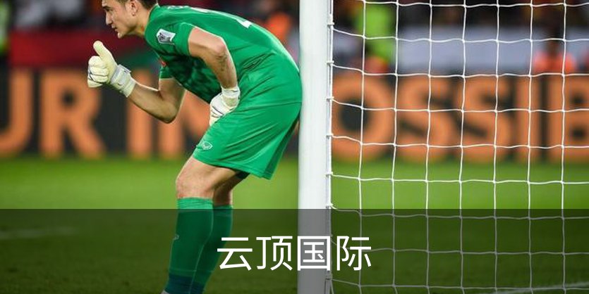 关于云顶国际